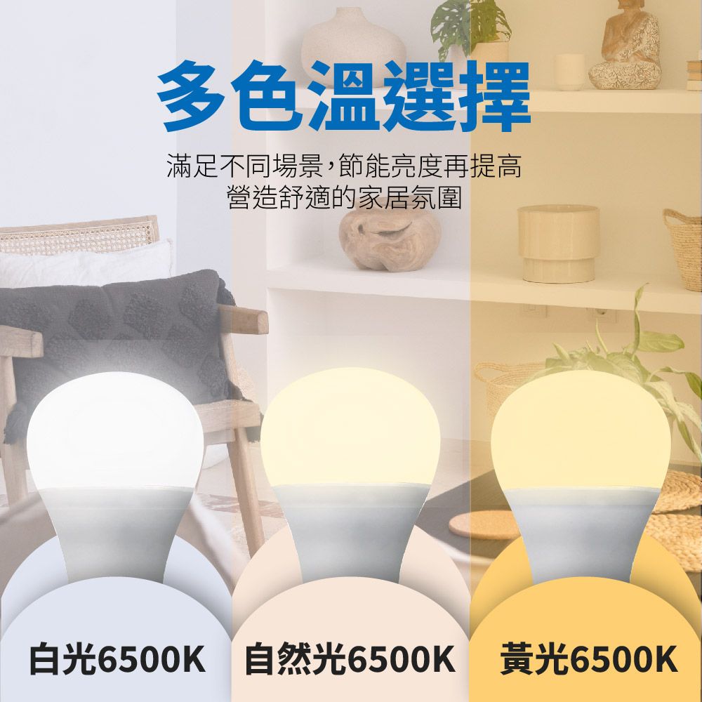 EVERLIGHT 億光  13W LED超節能燈泡 明亮環保 安裝簡便 同市售16W亮度 大角度發光 E27