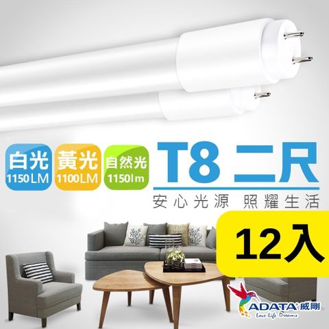 ADATA 威剛 10W LED T8 2尺 全塑燈管_12入組(白光 自然光)