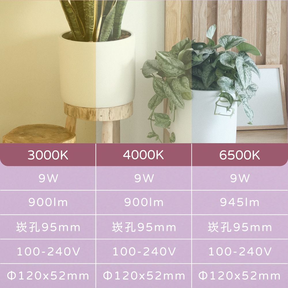TATUNG 大同 【4入】LED 9W 9.5公分嵌燈 全電壓 可調式 9cm崁燈