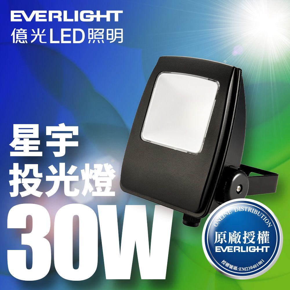 EVERLIGHT 億光 LED 星宇 30W 全電壓 IP65 投光燈(白光/黃光)