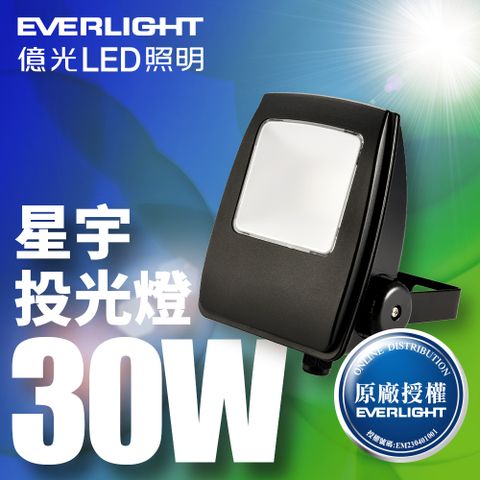 ★IP65戶外燈具首選★【億光EVERLIGHT】LED 星宇 30W 全電壓 IP65 投光燈(白光/黃光)