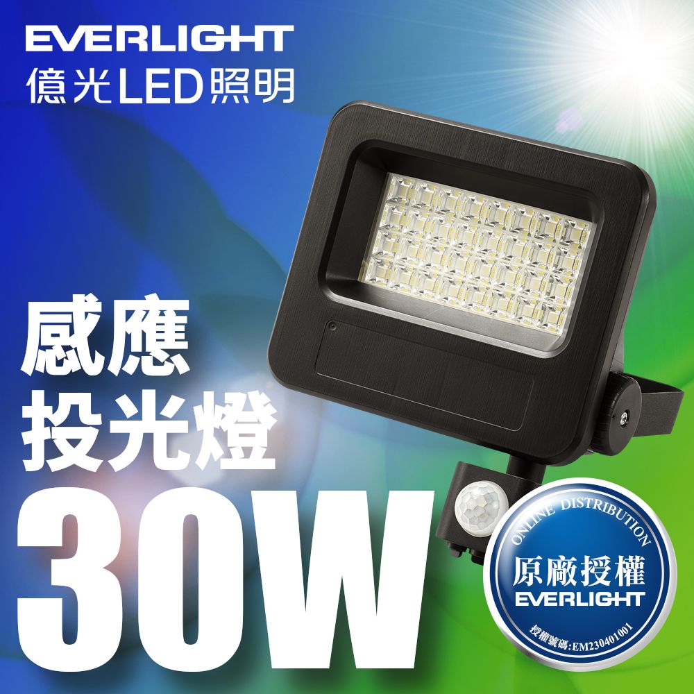 EVERLIGHT 億光 LED 星宇 30W 全電壓 IP65 紅外線感應投光燈(白光/黃光)