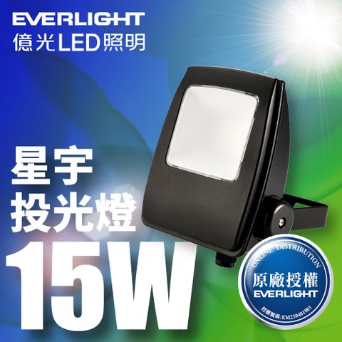 EVERLIGHT 億光 4入組 LED 星宇 15W 全電壓 IP65 投光燈(白光/黃光)