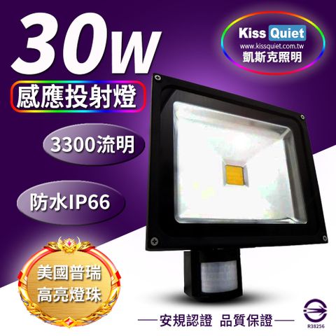 COB 《Kiss Quiet》 質感黑(白光/黄光)30W LED感應投射燈全電壓高PF-1入