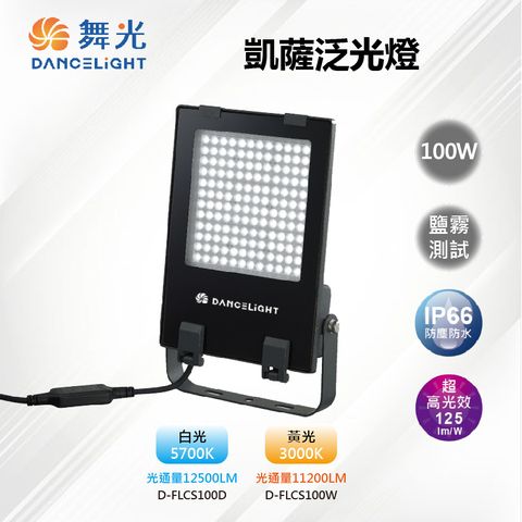 DanceLight 舞光 LED 100W IP66 凱薩泛光燈 投光燈 戶外 高光效 台灣設計_D-FLCS100