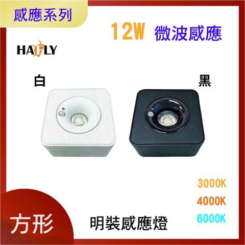 HAFLY LED超薄明裝圓方形感應燈 櫥櫃燈/裝飾燈/走廊燈 12W