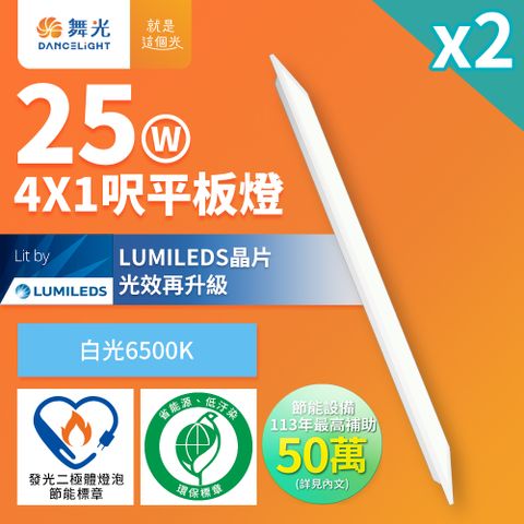 DanceLight 舞光 2入組  節能/環保雙認證 LED柔光平板燈 4呎X1呎 25W 輕鋼架面板燈(白光)