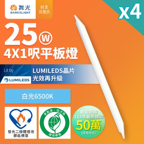 DanceLight 舞光 4入組  節能/環保雙認證 LED柔光平板燈 4呎X1呎 25W 輕鋼架面板燈(白光)