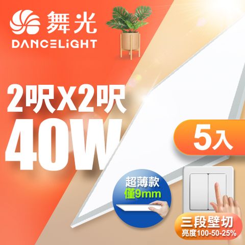 DanceLight 舞光 5入組  LED壁切超薄調光平板燈 2呎X2呎 40W 輕鋼架面板燈(白光/自然光)