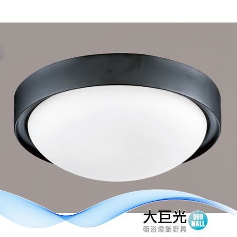 【大巨光】簡約風E27 2燈 吸頂燈-小(LW-12-3901)金屬烤漆、白玉玻璃