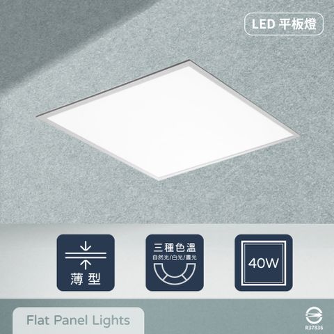 EVERLIGHT 億光 【6入組】LED 40W 白光 自然光 全電壓 直下式 平板燈 光板燈 輕鋼架