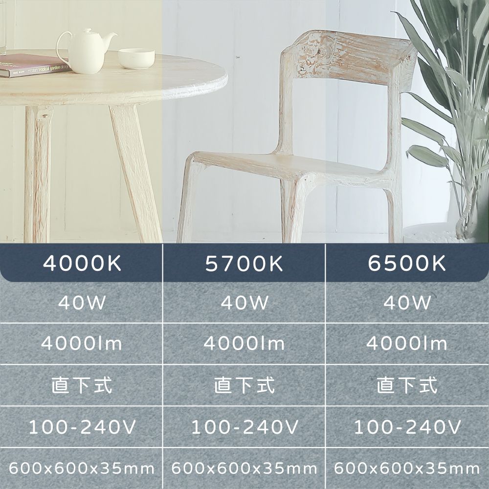 EVERLIGHT 億光 【6入組】LED 40W 白光 自然光 全電壓 直下式 平板燈 光板燈 輕鋼架