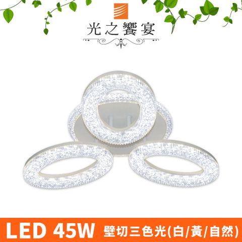 Protocol Lighting 光之饗宴 LED50W 萊斯莉(3 燈)吸頂燈/三色光