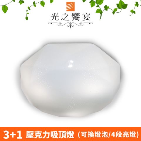 Protocol Lighting 光之饗宴 雷諾斯 3+1 燈吸頂燈(壓克力)
