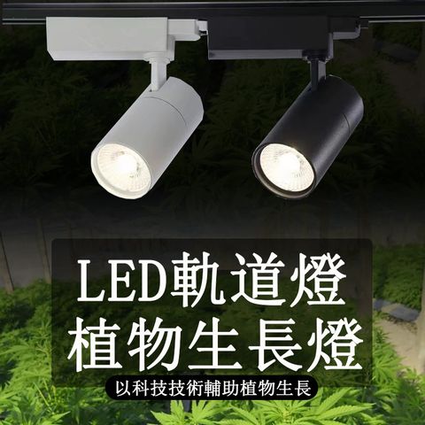 LED植物生長燈 20W綠植墻植物補光燈 園藝花店多肉植物燈 全光譜導軌射軌道燈
