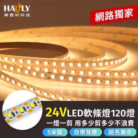 HAFLY 24V晶漾LED軟條燈 120燈 貼片燈 室內燈條 燈帶燈串 派對氣氛 高演色 5米裝