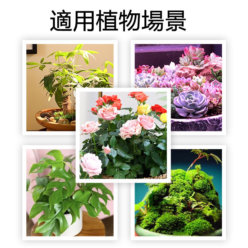  綠植盆栽多肉生長燈 仿太陽光全光譜led定時線控 2.1M20W暖黃光植物補光燈