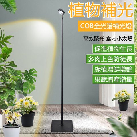 全光譜LED定時綫控植物生長燈 20W/1.6米補光燈 仿太陽光射燈 植物燈