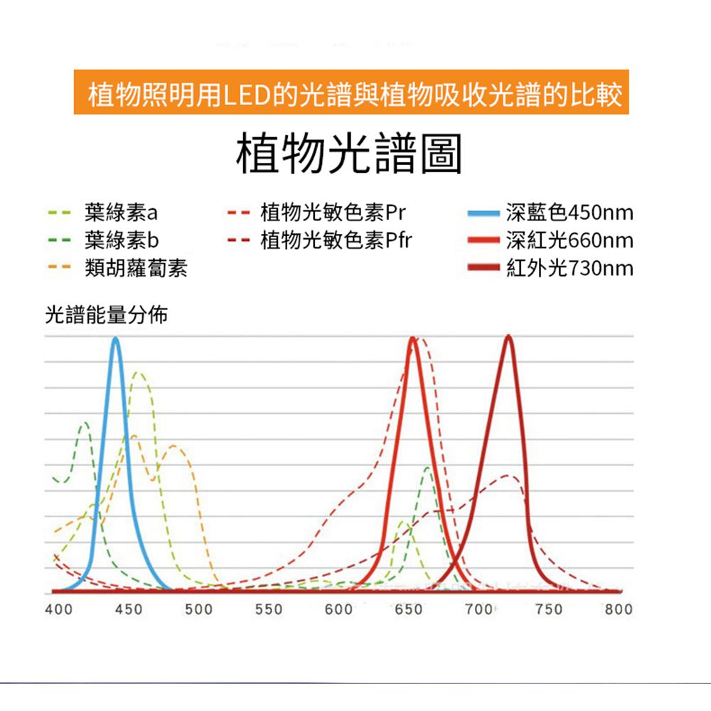  【居家家】家用LED全光譜可伸縮角度調節多肉綠植盆栽植物25W補光燈生長燈/太陽燈/光照燈/上色燈