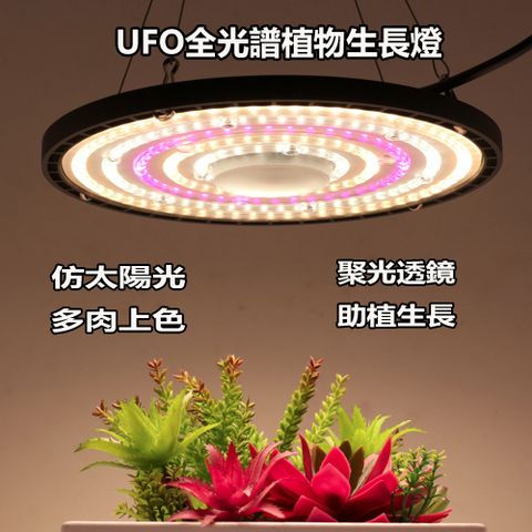 居家家 100W全光譜LED植物生長燈大棚植物補光燈溫室上色補光燈植物燈/照明燈/太陽燈/光照燈/上色燈/綠植燈