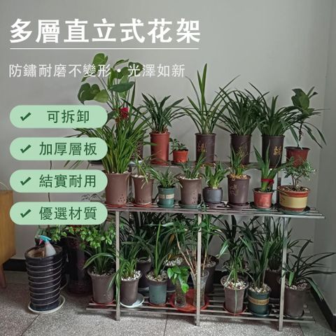 不銹鋼花架 落地式花架 戶外多層階梯式花架 防鏽防腐 陽台花架 園藝花架 戶外花架 直立款80/100cm