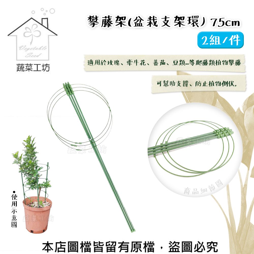 Vegetable攀藤架(盆栽支架環)75cm2組/件適用於玫瑰、牽牛花、蕃茄、豆類_爬藤類植物攀藤蔬坊可幫助支撐、防止植物倒伏。菜工商品細節圖本店圖檔皆留有原檔,盜圖必究