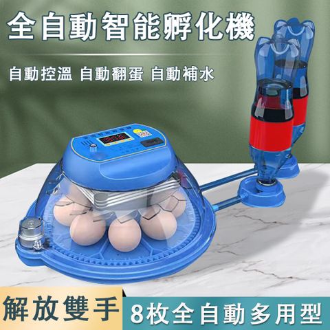 8枚雙電智能孵蛋器 自動控溫/翻蛋/補水 全自動多用型孵化器 小型家禽孵化箱