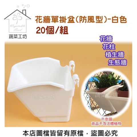 【蔬菜工坊】花牆單掛盆(防風型)-白色 20個/組