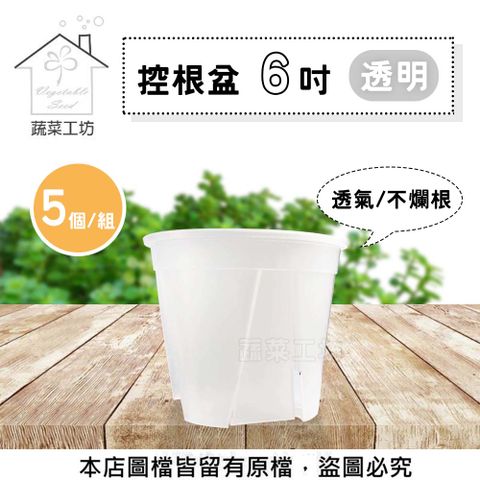 蔬菜工坊 控根盆6吋(透明) 5個/組