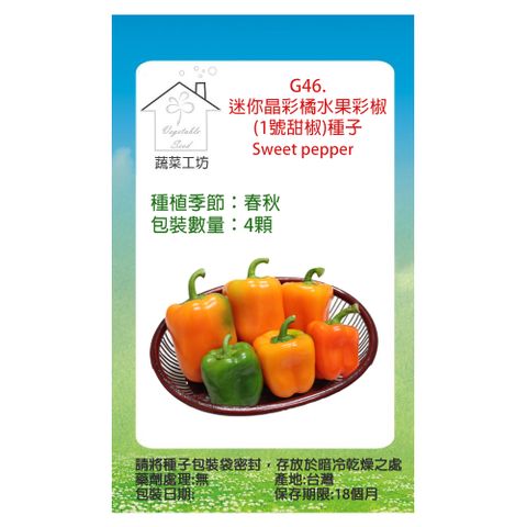【蔬菜工坊】G46.迷你晶彩橘水果彩椒(1號甜椒)種子