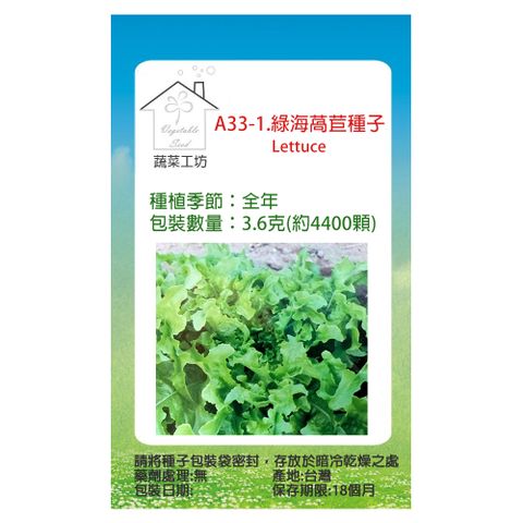 【蔬菜工坊】A33-1.綠海萵苣種子 Batavia 不結球萵苣