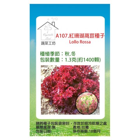 【蔬菜工坊】A107.紅珊瑚萵苣種子 Lollo Rossa 不結球萵苣