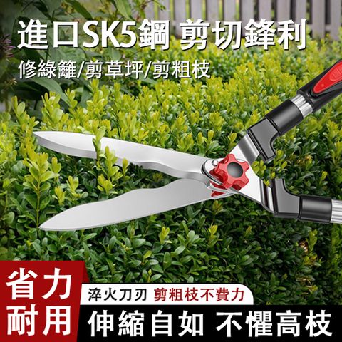 QIAOKE 草坪剪 果樹花園修枝剪刀 園藝剪刀 綠化園林工具 籬笆修枝剪 粗枝剪 園林剪 長度可伸縮