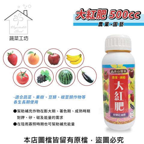 蔬菜工坊 大紅肥500cc(矽鉀紅液肥)結果期使用