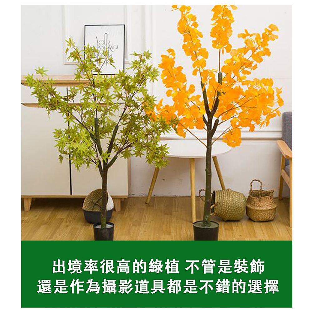  仿真盆栽 綠色植物裝飾 室內假綠植 景觀樹 攝影造景裝飾 綠植 仿真綠植 辦公室盤栽 植物 綠化 裝飾百搭