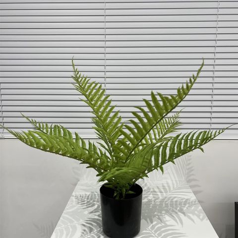 仿真綠植波絲蕨盆栽擺飾