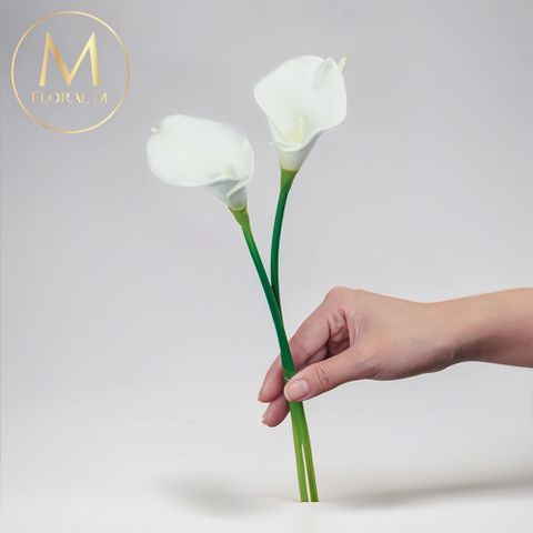 氣質仙女白蕊白海芋仿真花花材