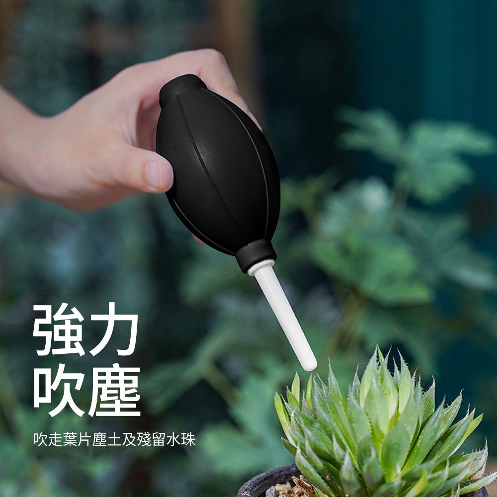 SUNLY  盆栽園藝工具13件套 植物養護工具 多肉種植工具 花盆植栽工具