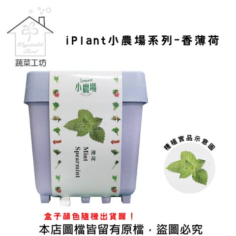 蔬菜工坊 iPlant小農場系列-香薄荷