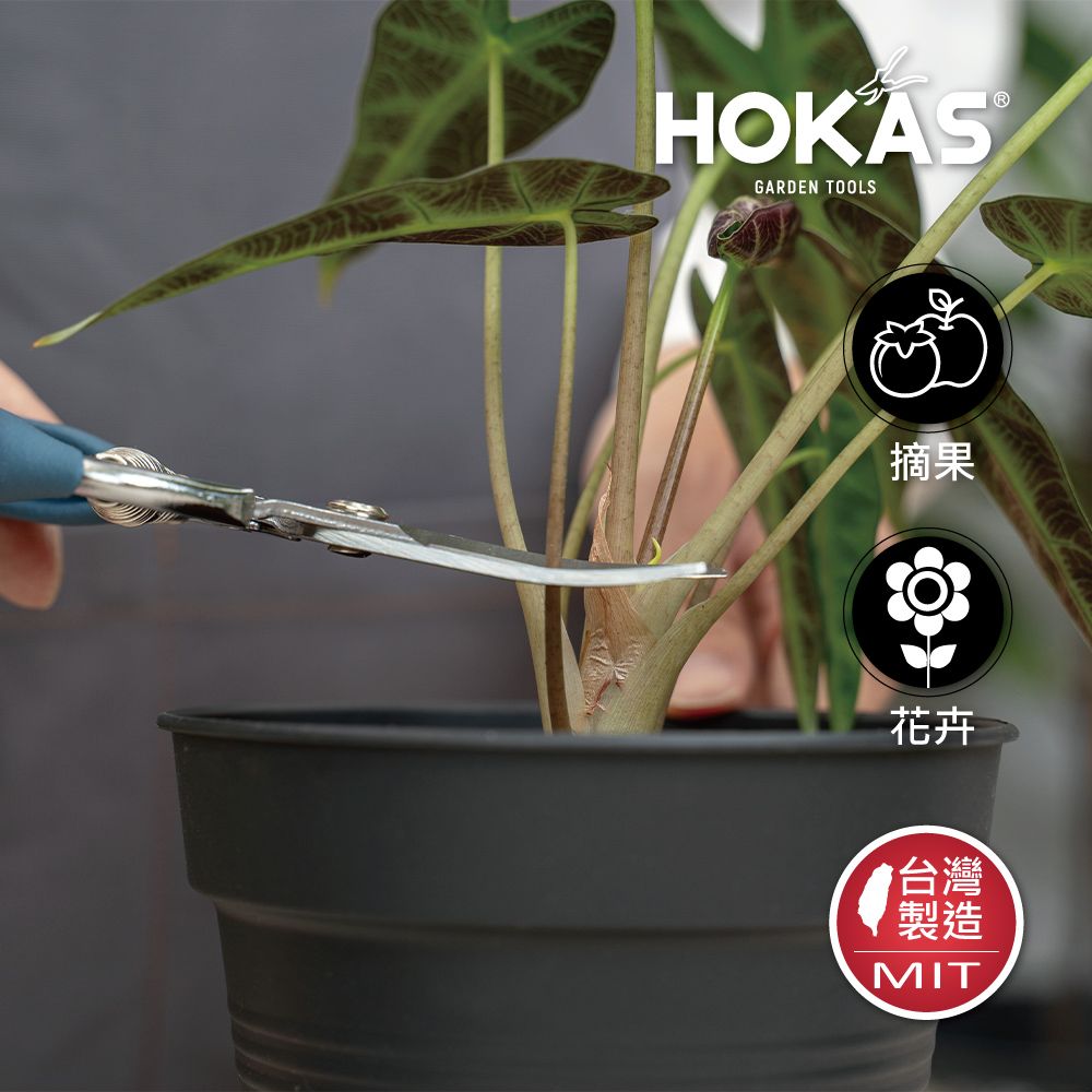 HOKAS 長曲刃芽切剪套組 (台灣製 適用觀葉植物 園藝盆栽 摘果 切花 S518+411)