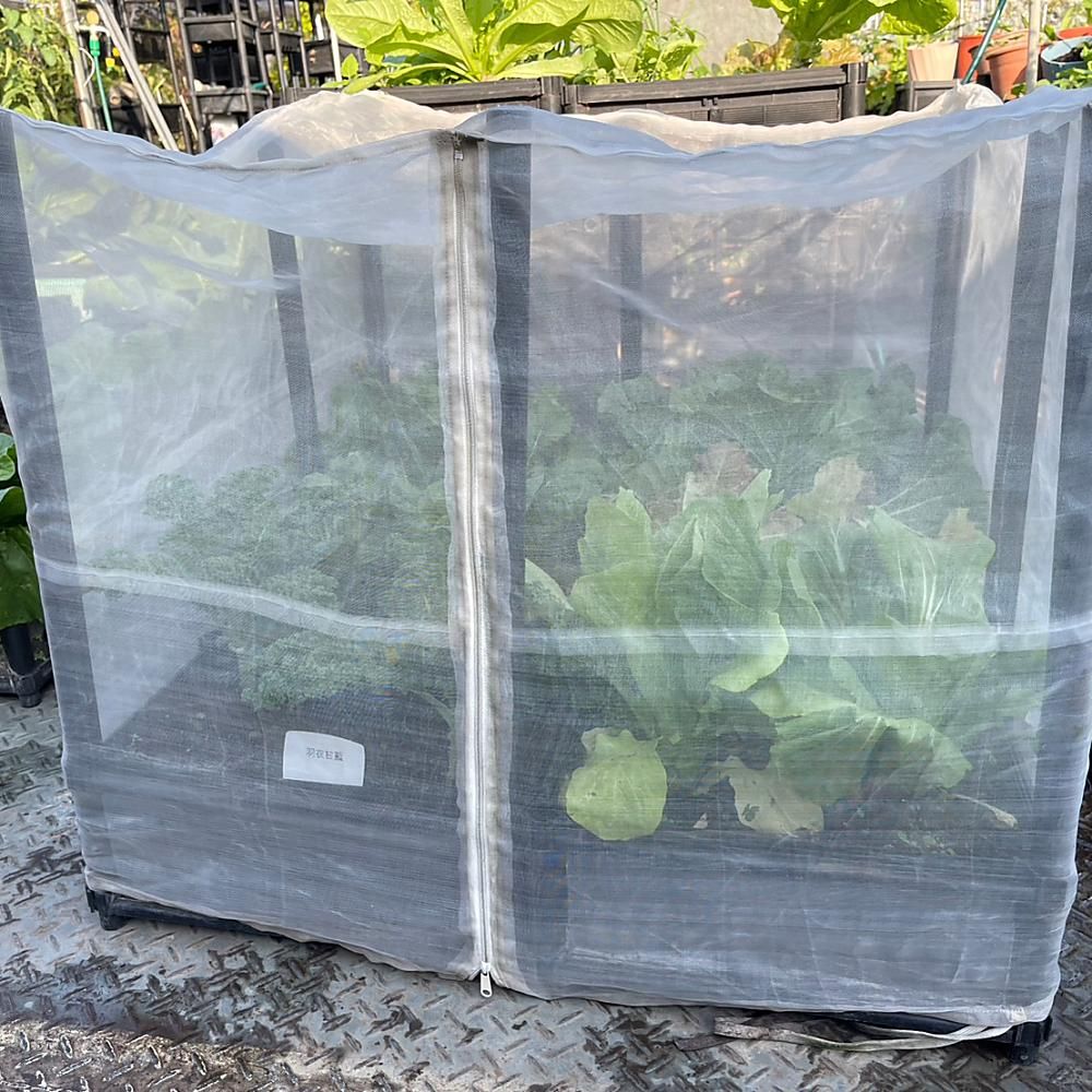 育材 田園樂 六箱防蟲網 附接桿及拉鍊(90*90種植箱用)
