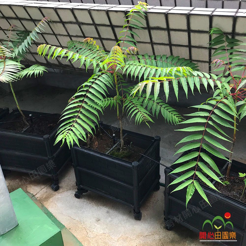 育材 雙層種植箱+尼龍輪