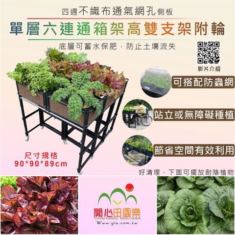 育材單層六連通架高雙支架款附輪90*90*89cm(輪椅可用)