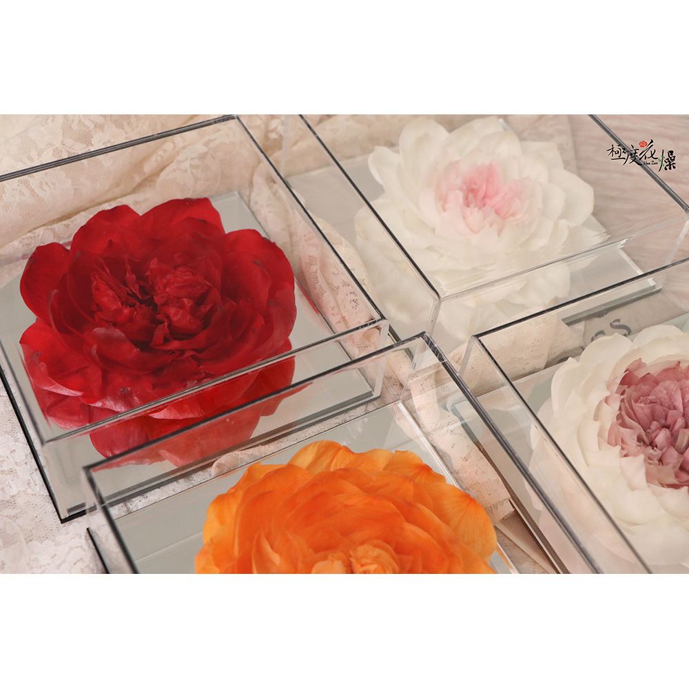 極度花燥 永生花乾燥花材專賣店 鏡面永生芍藥 附花燥面交袋 花禮