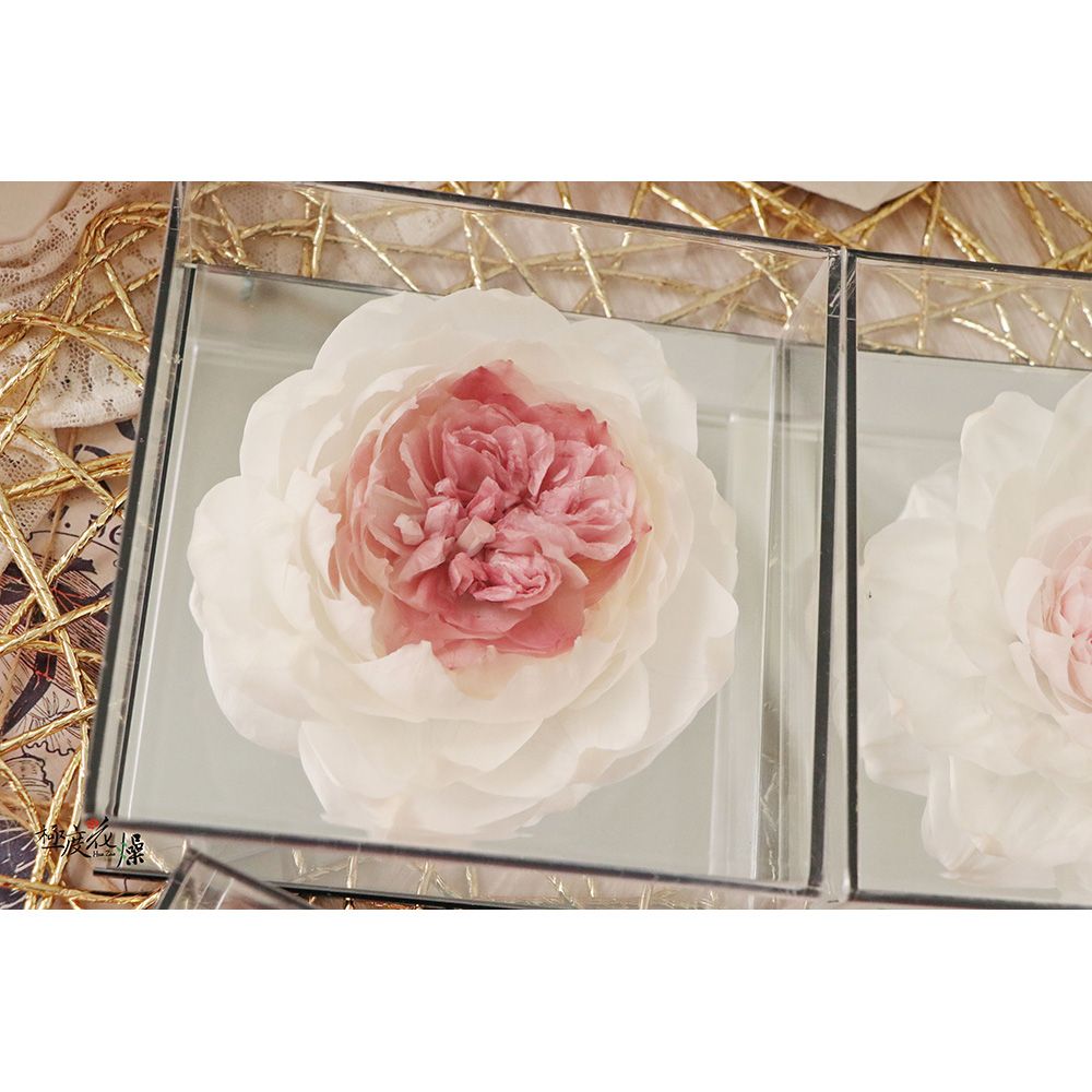 極度花燥 永生花乾燥花材專賣店 鏡面永生芍藥 附花燥面交袋 花禮