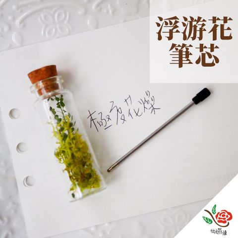 極度花燥 永生花乾燥花材專賣店 浮游花筆芯 一份1根 分裝 資材