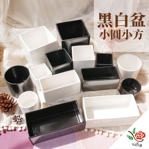 極度花燥 永生花乾燥花材專賣店 台灣生產 黑白盆 小圓小方 一份1個 分裝 資材