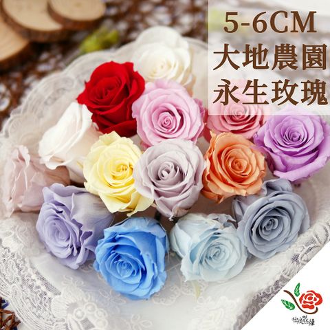 極度花燥 永生花乾燥花材專賣店 日本進口大地農園 永生玫瑰花05202 3個 分裝 花材