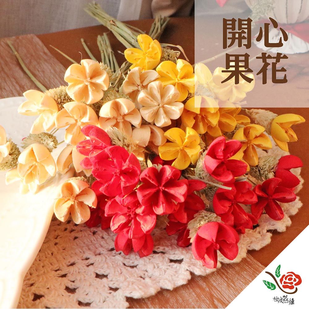 極度花燥 永生花乾燥花材專賣店 開心果花 一份9支 分裝 花材