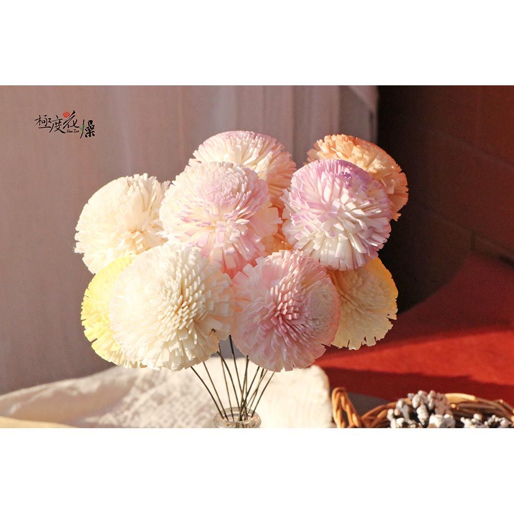 極度花燥 永生花乾燥花材專賣店 印度進口 蓪草乒乓菊 5個 分裝 花材